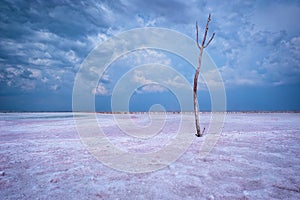 View of the largest salt lake Sasyk-Sivash