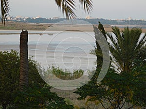 A view of the Larnaca Salt Lake in Cyprus