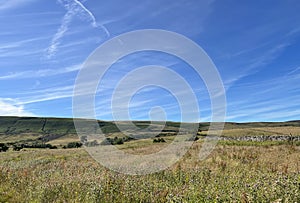 View on a late summers day, with fields, hills and wild plants near, Wood House Lane, Slaidburn, UK