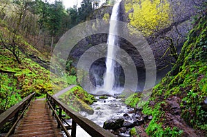 A view of Latourell Falls at Columbia river gorge