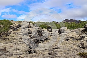 View of the lava fields of a past volcanic eruption in Iceland