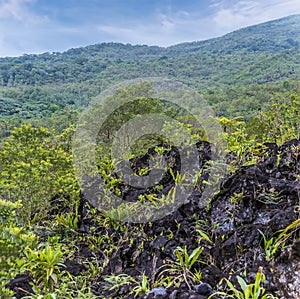 A view of lava fields on the side of the Arenal volcano in Costa Rica