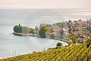 View of Lavaux vineyards and Cully town, canton of Vaud, Switzerland
