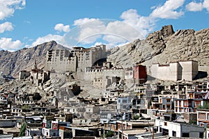 View on Leh palace