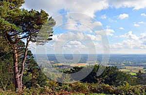 View from Leith Hill across the South Downs to Brighton, UK.