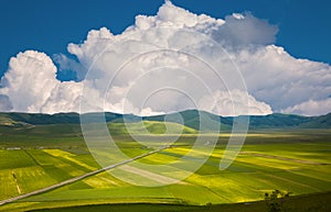 View of the lentils flowering and cumulonimbus in the spring season