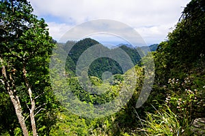 View from Levada da Portela, Madeira, Portugal photo