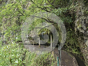 View of levada, water irrigation channel and tropical plants from hiking trail Levada do moinho to levada nova waterfall