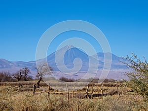 View of Licancabur Volcano