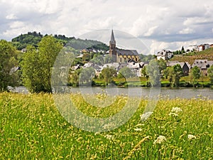 View of Lieser at river Moselle and the river