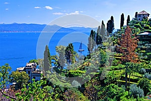 View of the Ligurian Sea, from Castello Brown, Portofino, Liguria, Italy 2019.