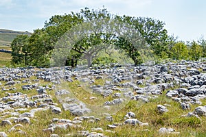 View of the Limestone Pavement near the village of Conistone in