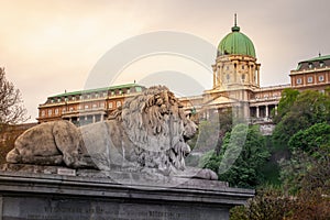 Lion of Chain Bridge view of Buda Castle at dramatic evening, Budapest, Hungary