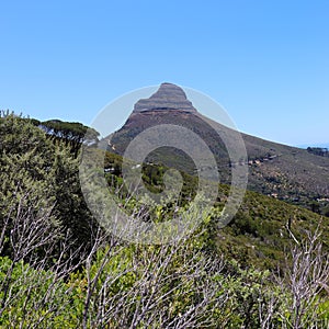 View of Lion`s Head in Cape Town