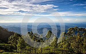 View of Lipton`s Seat - Dambetenna