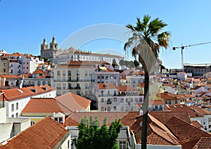 View of Lisbon old town panorama with palm tree