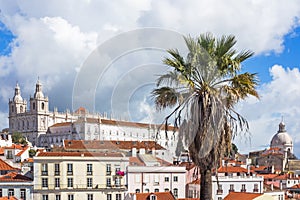 View of Lisbon, Portugal, with palm tree in the foreground photo
