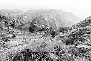 View at the Little Adam`s Peak and the Ella Rock, Ella, Sri Lanka