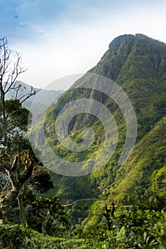 View from Little Adam`s Peak. Mountain landscape in Sri Lanka,Little Adam`s Peak Ella