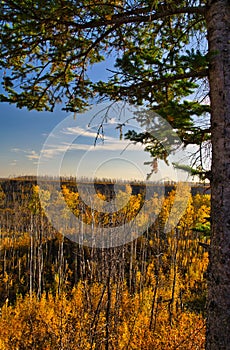 A view from little fisheries trail on a sunny Autumn afternoon Fort McMurray Alberta