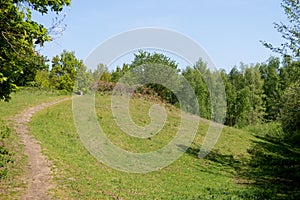 View on a little hill in a forest in geeste emsland germany