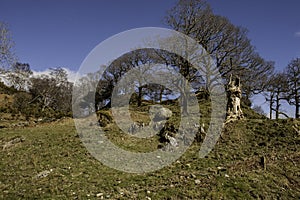 View of little langdale