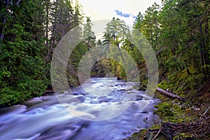 View of Little Qualicum Falls in Vancouver Island, Canada