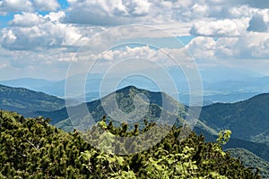 View from the Little Rozsutec hill