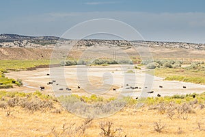 View Of The Little Snake River In Northwest Colorado In Drought