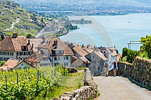 View on a little winery village called Rivaz, Lavaux Switzerland