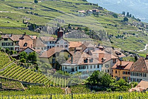 View on a little winery village called Rivaz, Lavaux Switzerland