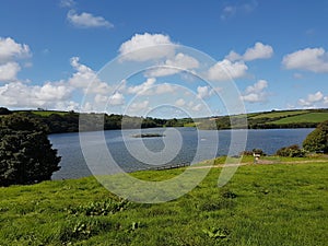 Llys y fran reservoir photo