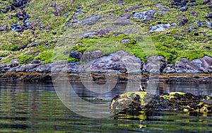 View of the loch coruisk at the Isle of Skye also popular for its wildlife