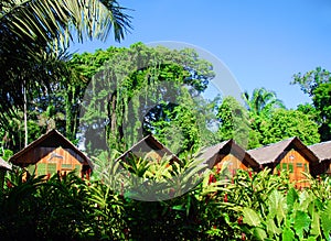 View of a lodge on stilts in the Amazon rain forest