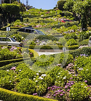 View of Lombard Street