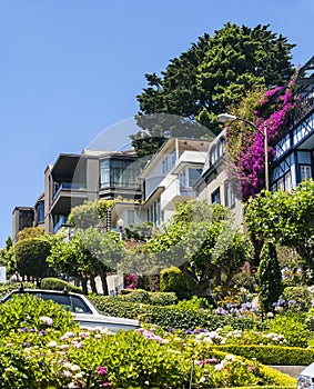 View of Lombard Street,