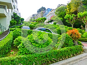 View of Lombard Street in California