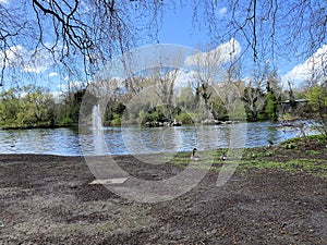 A view of London at Westminster photo