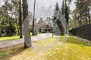 A view of a long paved driveway with grass, trees and evergreens
