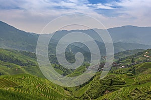 View of the Longsheng Rice Terraces near the of the Dazhai village in the province of Guangxi, in China, with a female farmer work