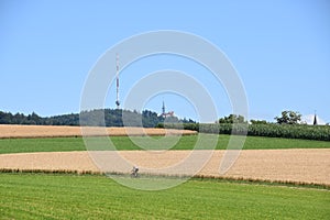 View on the look-out tower and the Uetliberg TV-tower at Uetliberg mountain from the tourist path