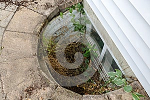 View looking down into a neglected egress window