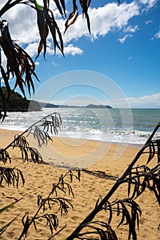 The view looking of Kaiteriteri beach New Zealand