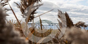 View looking though the weeds and beach grass at the Great South Bay Bridges