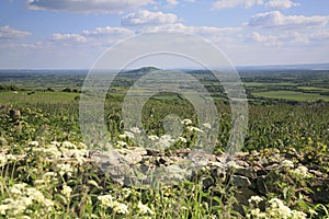 View looking towards the Quantock hills