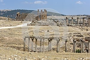 A view looking towards the Temple of Artemis at Jerash in Jordan. photo