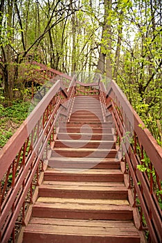 a view, looking up for the top of a long wooden ladder located in a forest. Part of a hiking trail and used to connect viewpoints