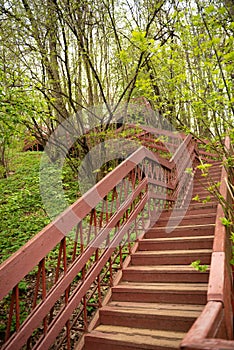 a view, looking up for the top of a long wooden staircase located in a forest. Part of a hiking trail and used to connect