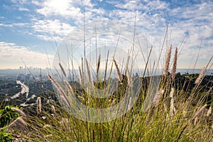 View of Los Angeles from the Hollywood Hills. Down Town LA. Hollywood Bowl. Warm sunny day. Beautiful clouds in blue sky