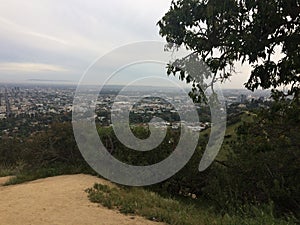 View of the Los Angeles skyline from Griffith Observatory, in Griffith Park, Los Angeles, California